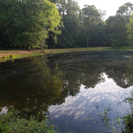 Pond view at Green Woods Stables RV Park