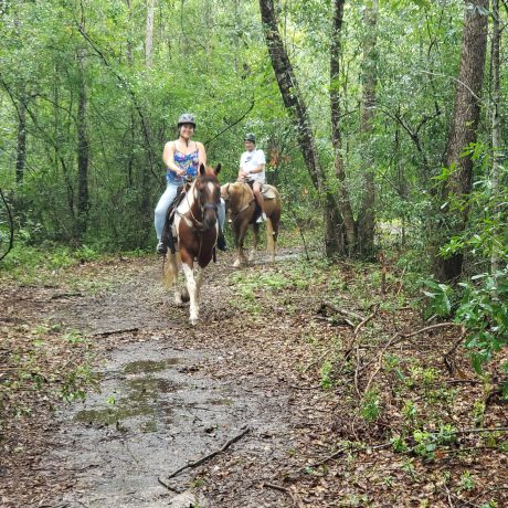 people riding horses on trails at Green Woods Stables RV Park