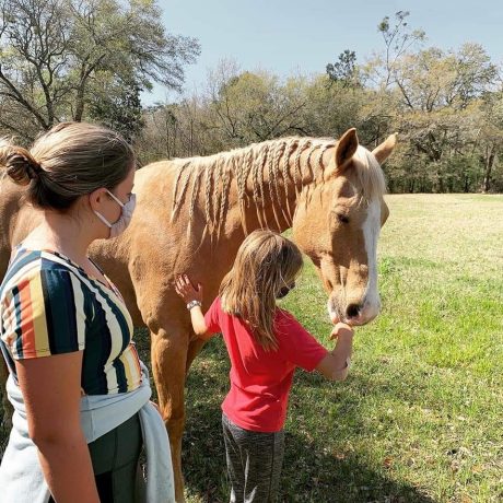 a girl stroking a horse at Green Woods Stables RV Park