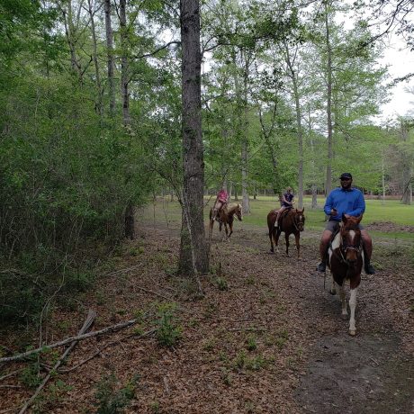 people riding horses on trails at Green Woods Stables RV Park