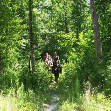 people riding horses on trails at Green Woods Stables RV Park